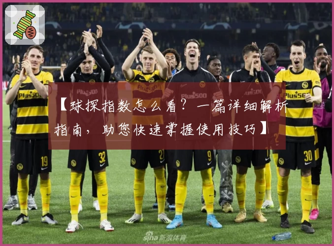 【球探指数怎么看？一篇详细解析指南，助您快速掌握使用技巧】