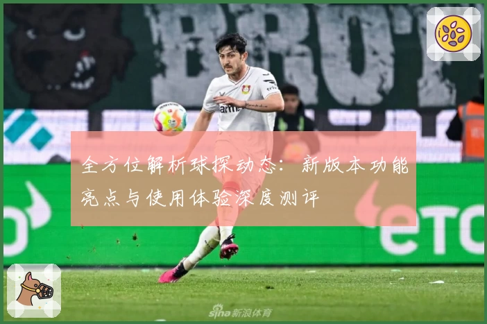 全方位解析球探动态：新版本功能亮点与使用体验深度测评