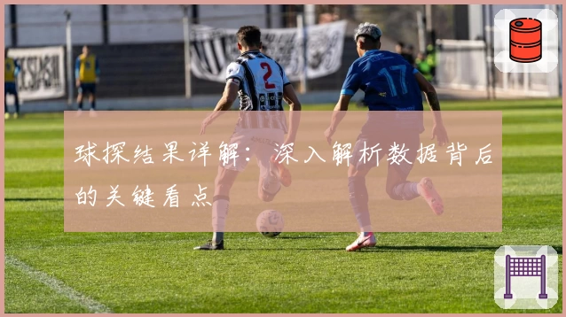 球探结果详解：深入解析数据背后的关键看点