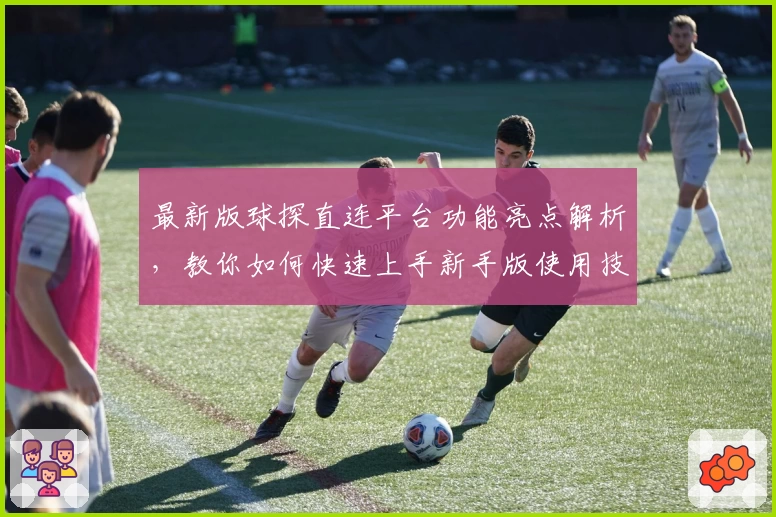 最新版球探直连平台功能亮点解析，教你如何快速上手新手版使用技巧