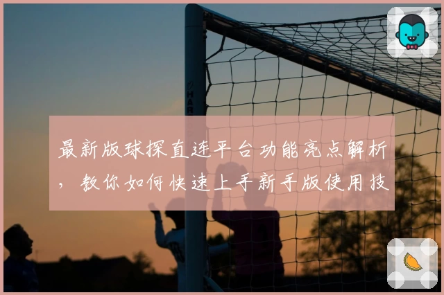 最新版球探直连平台功能亮点解析，教你如何快速上手新手版使用技巧